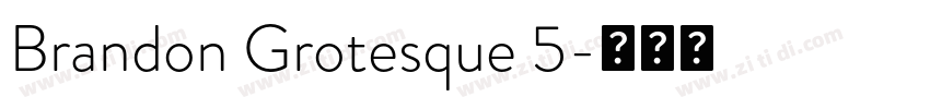 Brandon Grotesque 5字体转换